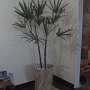 decoracao (10)